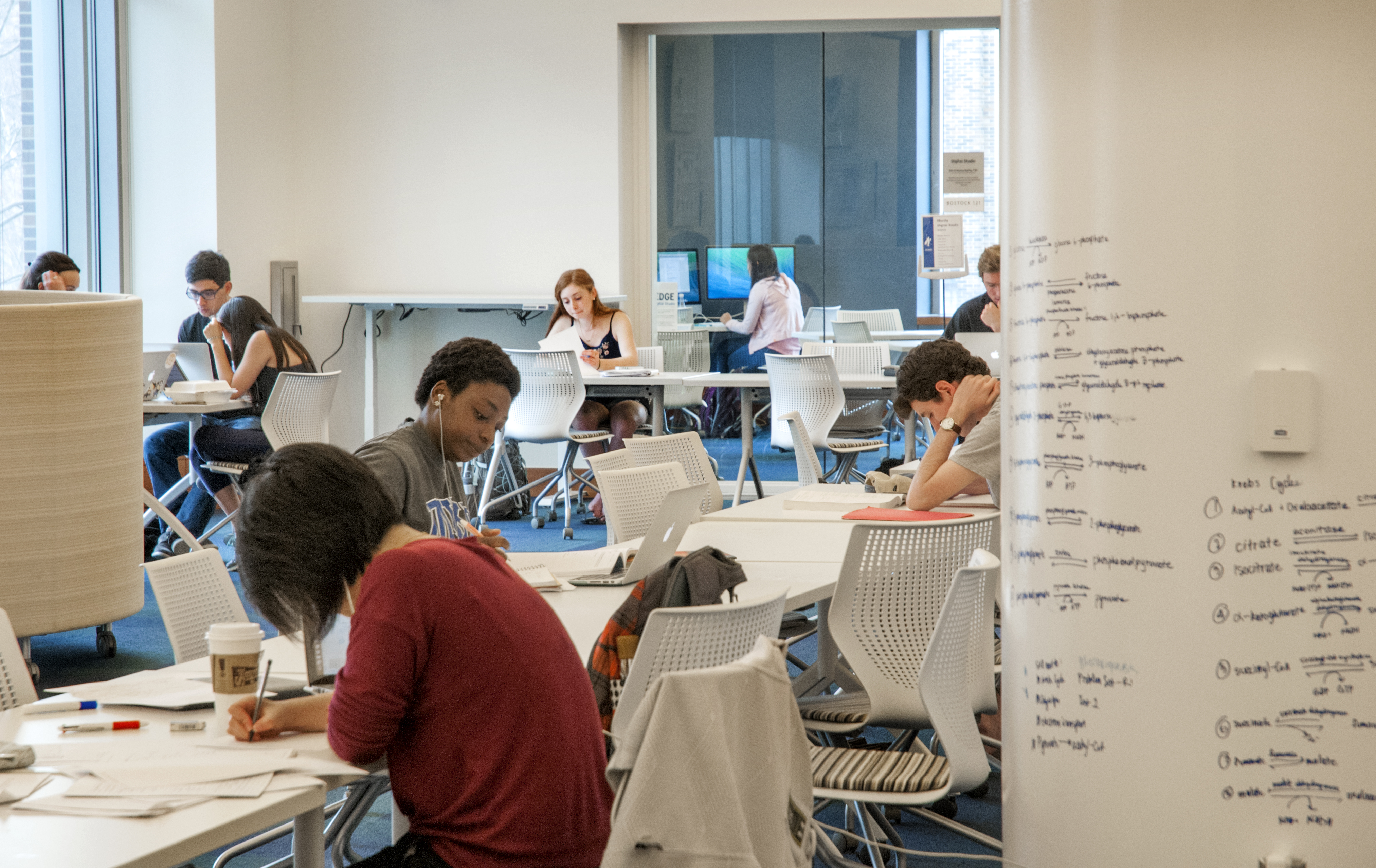 bostock_fl01_openlab2